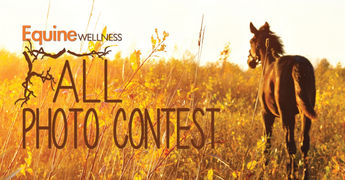 Show us the best Fall/Halloween inspired photos of your horse and you could WIN! #horses #halloween #fall #contest ow.ly/1WT1305typV