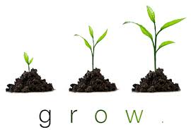 conduitcardiff's tweet photo. Conduit Global are now recruiting for an IT Solutions BDM. Do you have the drive and determination to help us grow? https://t.co/aukEM3qZ4Z https://t.co/6IlQbnKO3h