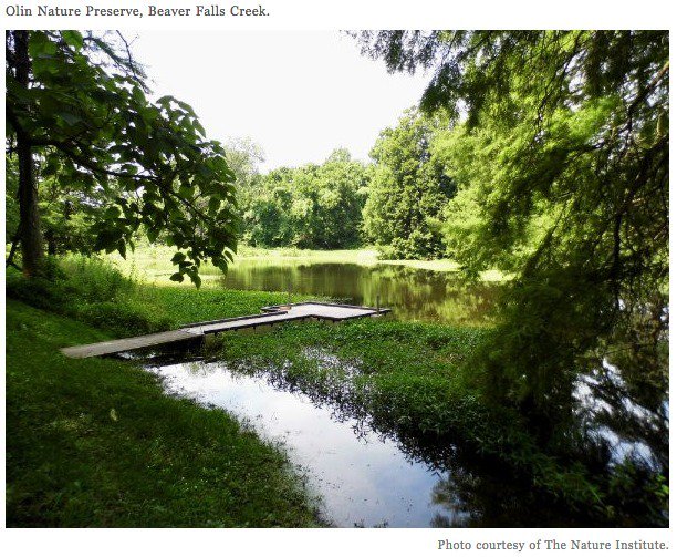 TheBeerDiariesTV (@beerdiariestv) on Twitter photo .<a href="/OldBakeryBeer/">Old Bakery Beer</a> & <a href="/NatureInstitute/">The Nature Institute</a> brings beer with locally foraged ingredients for new monthly series: snip.ly/vll1i #homebrewer .<a href="/OldBakeryBeer/">Old Bakery Beer</a> & <a href="/NatureInstitute/">The Nature Institute</a> brings beer with locally foraged ingredients for new monthly series: snip.ly/vll1i #homebrewer