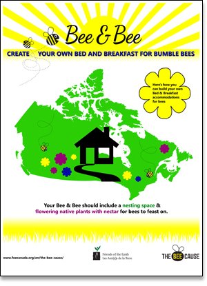 WildBeeTweets's tweet photo. I had a wonderful weekend relaxing in a cozy Bee & Bee! Learn how to make your own here: https://t.co/aOwL6BDRL9 π π‘ #LetItBee2016 https://t.co/QKToOXvT4c