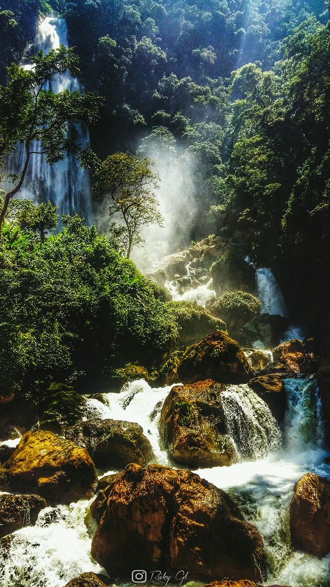 VeracruzTurismo's tweet photo. #HoyLunesCreoQue es un buen día para admirar la belleza de la Cascada de Altahuitzia en Zongolica #Veracruz ¿Apoco no?
#ElViajeContinúa https://t.co/SAllgAkAtO