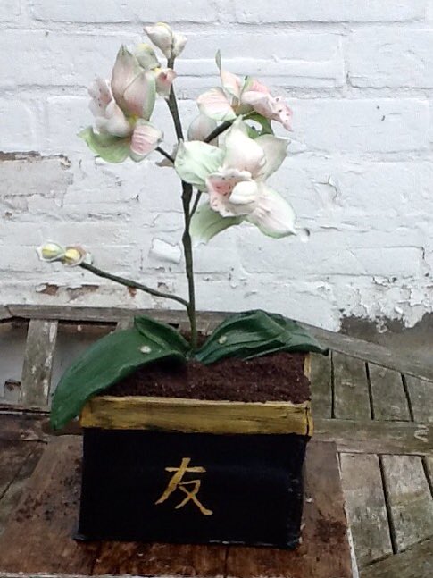 AsIceasnice's tweet photo. #sugarcraft #sugarflowers #orchids #cake #birthdaycake #botany https://t.co/GetB6SryoF