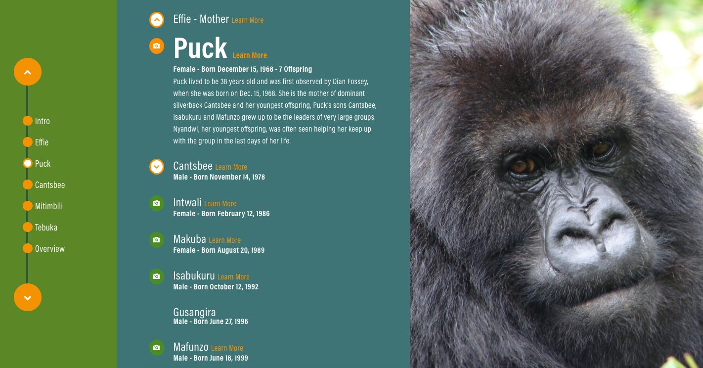 Fossey Gorilla Fund on Twitter: "We also added amazing new interactive