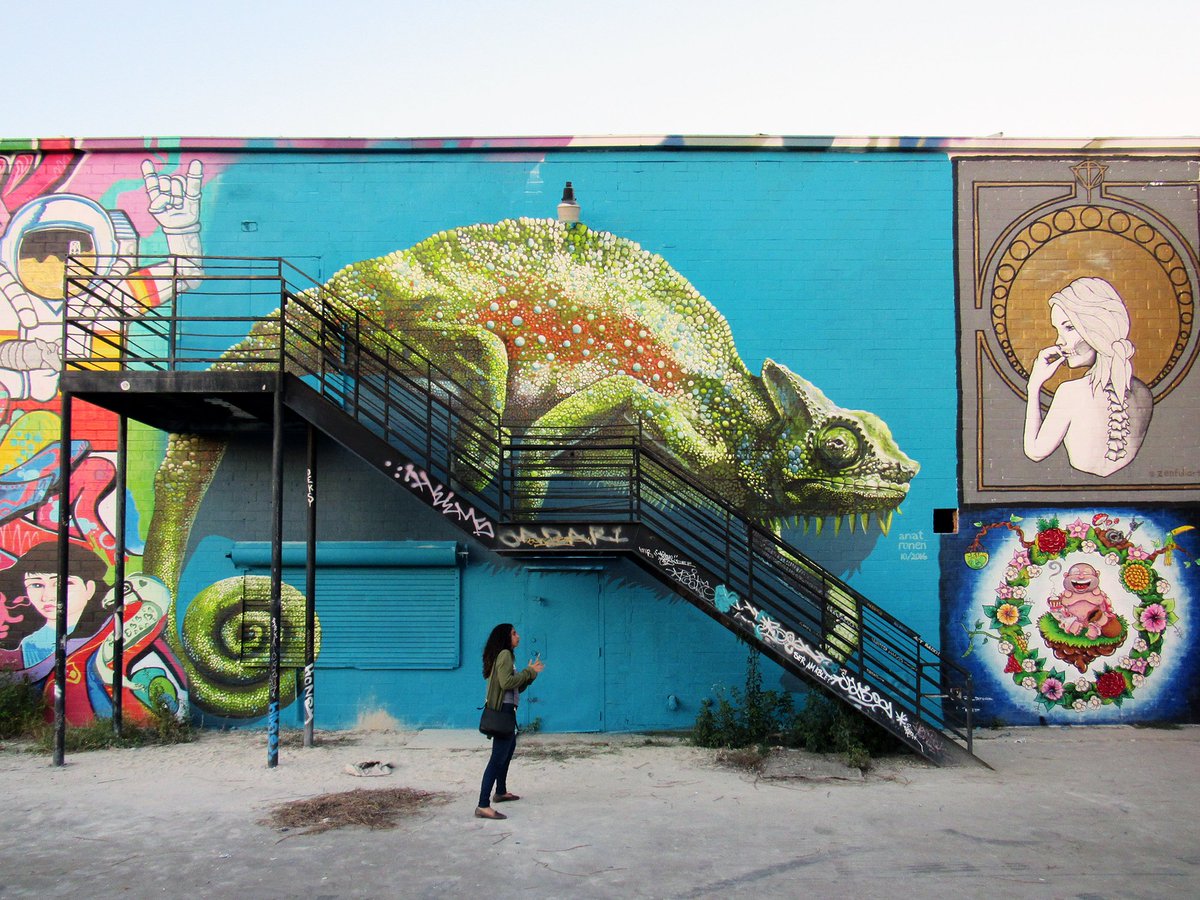 Anat Ronen (@anatronen) on Twitter photo Fresh paint 2 - in Houston, TX - <a href="/huemuralfest/">HUE Mural Festival</a> #chameleon #streetartart #urbanart #anatronen Fresh paint 2 - in Houston, TX - <a href="/huemuralfest/">HUE Mural Festival</a> #chameleon #streetartart #urbanart #anatronen