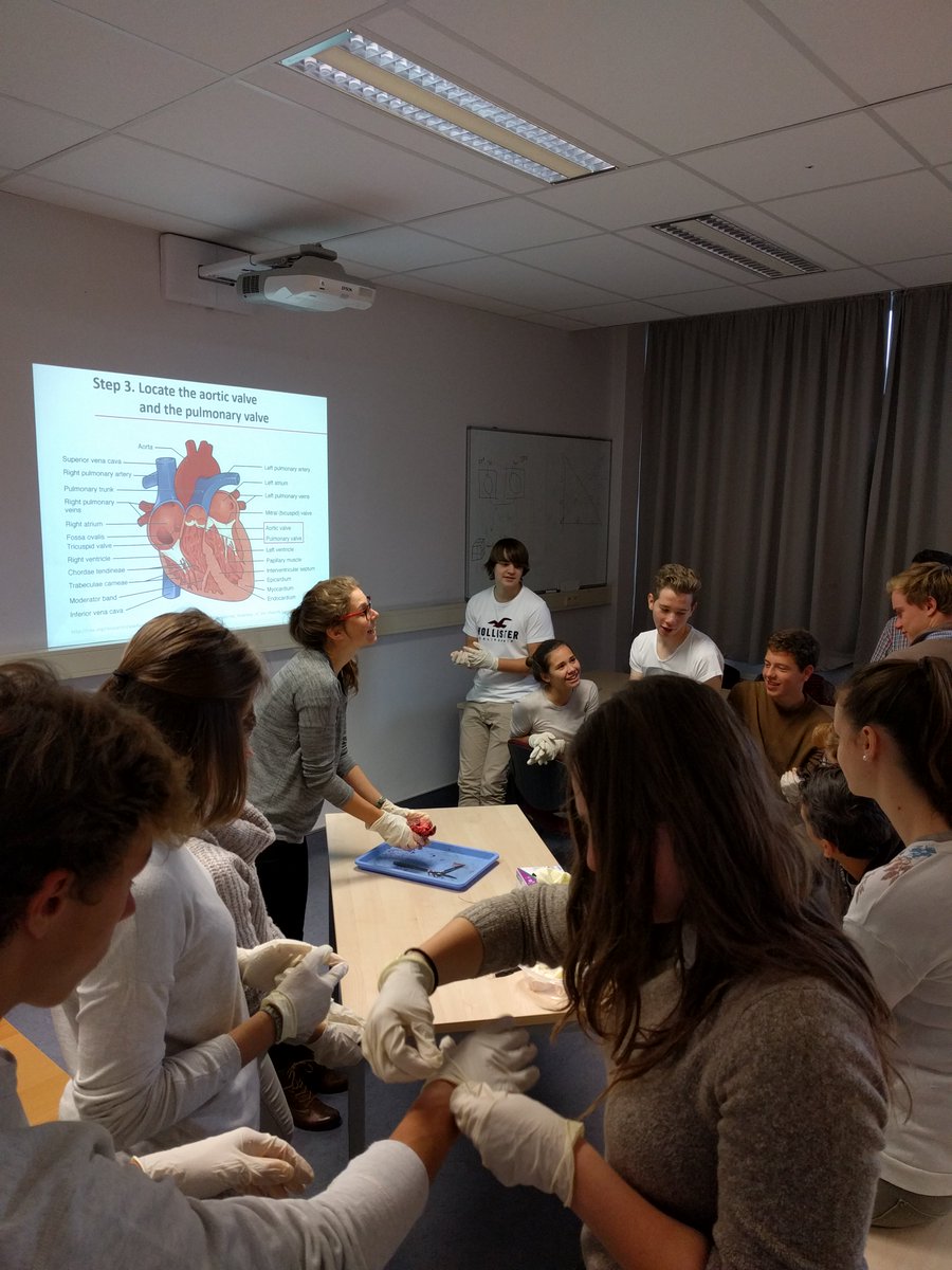 MPeirlinck's tweet photo. Inspiring high-school students for biomedical technology.  #heartdissection #ultrasound #bloodpressure #stenting #wetenschapsweek #UGent https://t.co/CS2j18J2wr
