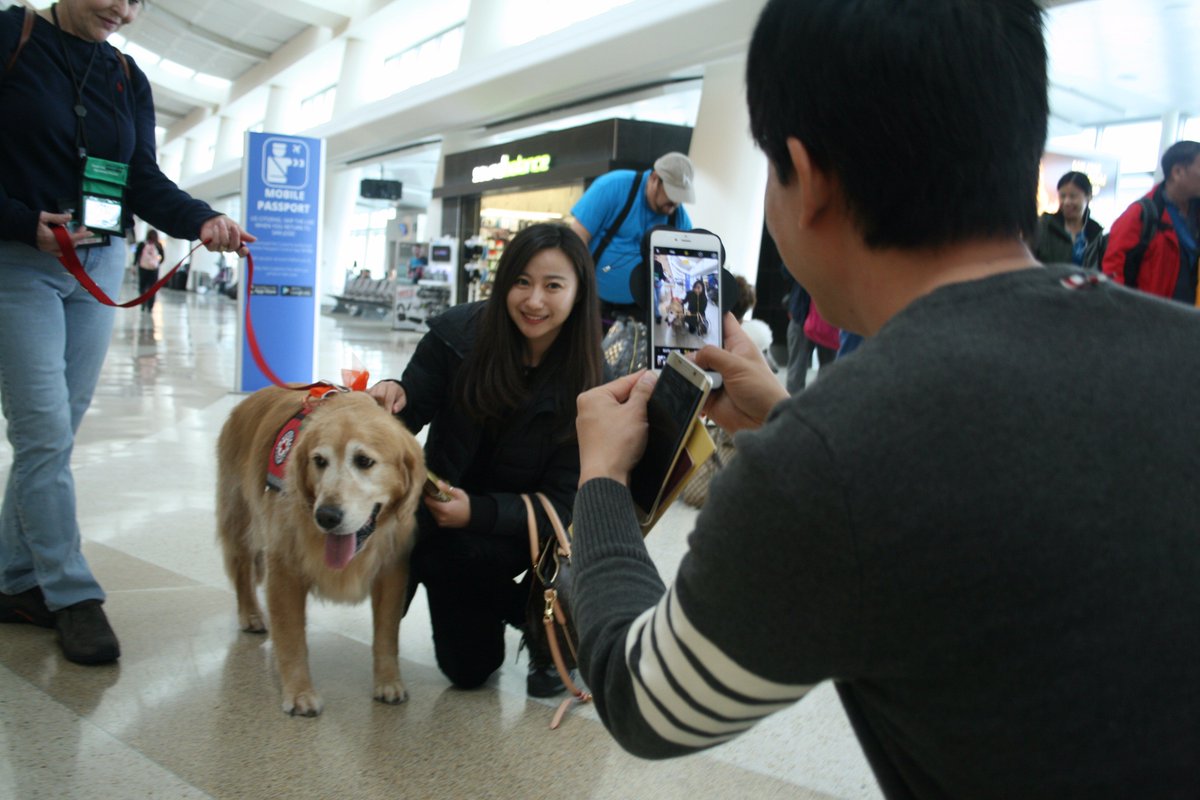 FlySJC's tweet photo. Smiles everyone, smiles: SJC's K9 Crew of therapy dogs is delighting passengers today with Halloween treats and smiles all around. https://t.co/xU7Y9wAJqy