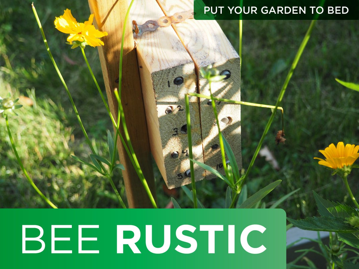 #BeeRustic! Leave branches, hollow twigs, reed stems &amp; more for wild bees to hibernate in. Learn more: buff.ly/2eL9qMY #LetItBee2016