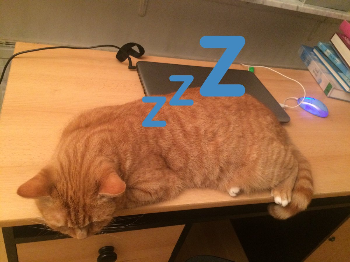 AlinaArchelrod's tweet photo. Nach einem langen Unitag sind alle müde...#mediencampus #onkomm #catlove #snoringkitty #erstertweetever https://t.co/dcC92zbWbb