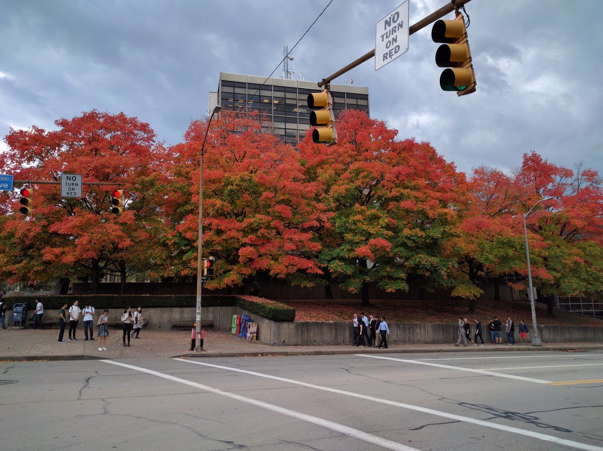 RT <a href="/stephenCMU/">Stephen He</a>: <a href="/CMUEngineering/">CMU College of Engineering</a> Fall is in the air! 🍁🍂🍁 #cmu
