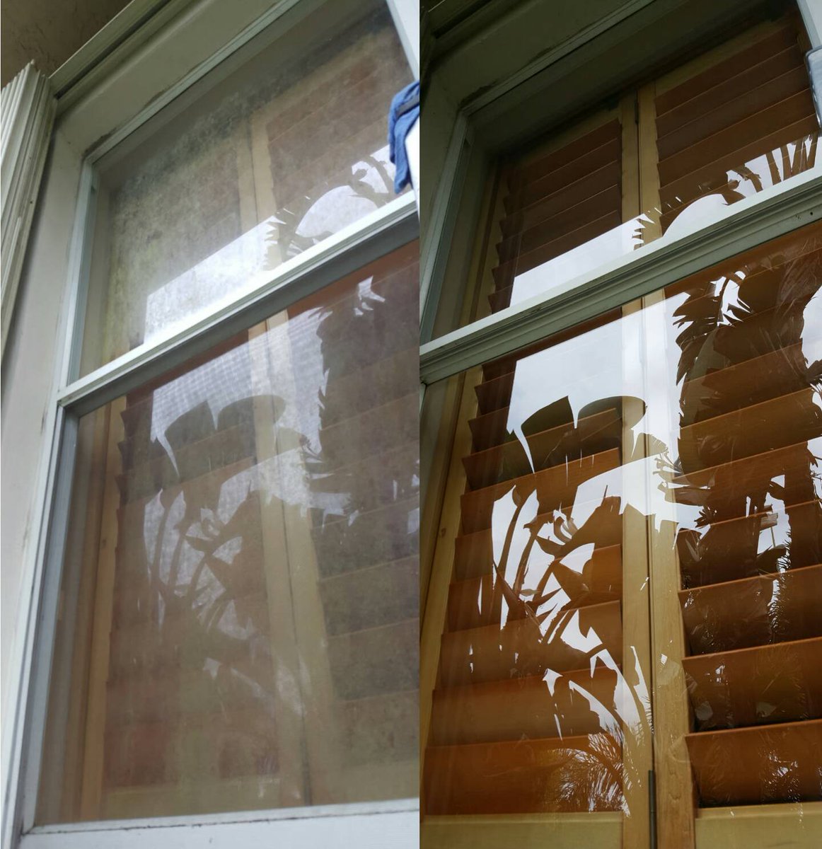 Cleanview_'s tweet image. Looking for a professional window cleaner? The choice is clear.  Call today!  

(954) 798-5522

cleanviewcleaning.com