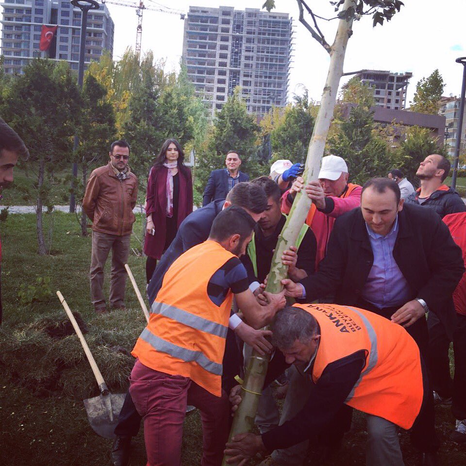 15 Temmuz Şehitlerimizin Çınarlarını Bugün, Pursaklarda Dikimini Gerçekleştirdik <a href="/kurtcancelebi/">Kurtcan Çelebi</a> <a href="/necatiguner06/">necatiguner06</a> <a href="/PursaklarAkgenc/">AK Gençlik Pursaklar</a>