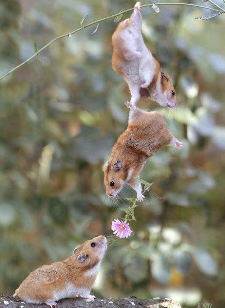 feelfully2's tweet image. Friends help friends find love buff.ly/2eeETHK