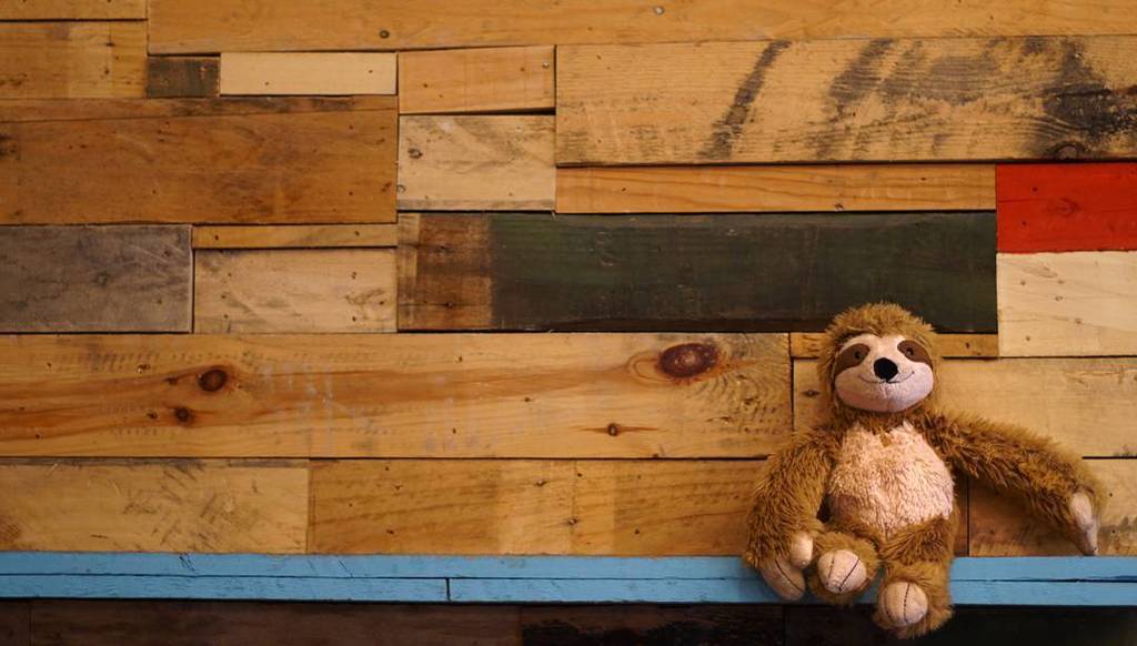 slothindublin's tweet photo. got cornered
@boojummex #slothindublin #sloth #dublin #wood #brickwall #corner #blue #colorful https://t.co/qjLjH7xAPF