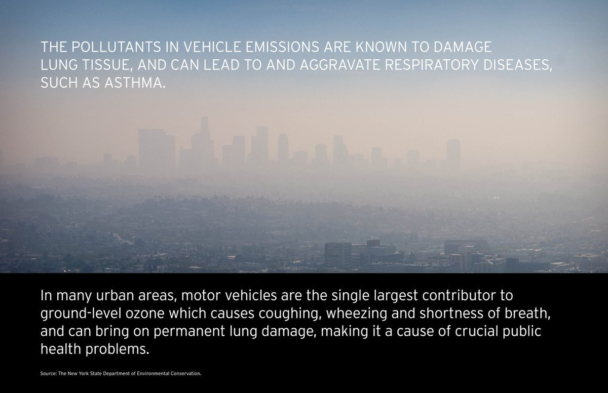 What Is Missing? tweet media