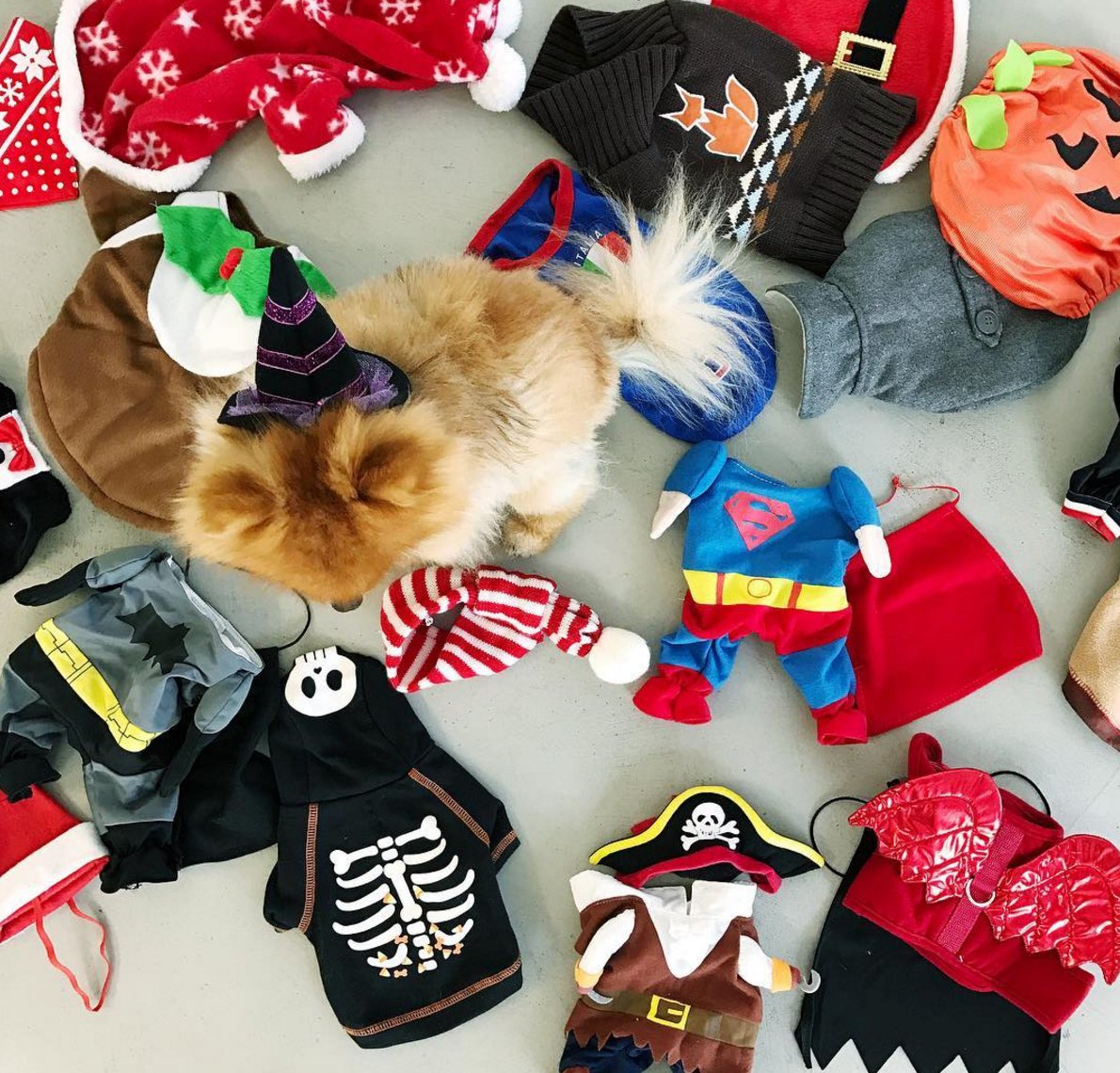 Foxes Events tweet media