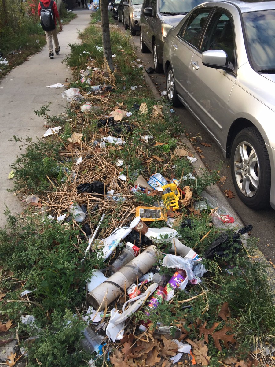 Stephen Davidson tweet media