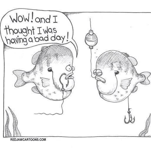 thmarineteam's tweet image. Well, how's your Monday going?
(Here's hoping you're out on the water!)
#Fishing #Humor #FishingHumor #Jokes #Cartoons #FishingJokes