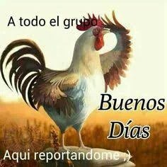 Princs_Ross's tweet photo. @A_L_I_A93 @MAR_CARP1 @MARIALUISAMAR5 @Beacienta @01STEFY_T @AdmidalaReina Feliz lunes 👭👭👭 #PrincessTeam 🌹 👑 👒 https://t.co/VK5JnnwLiJ