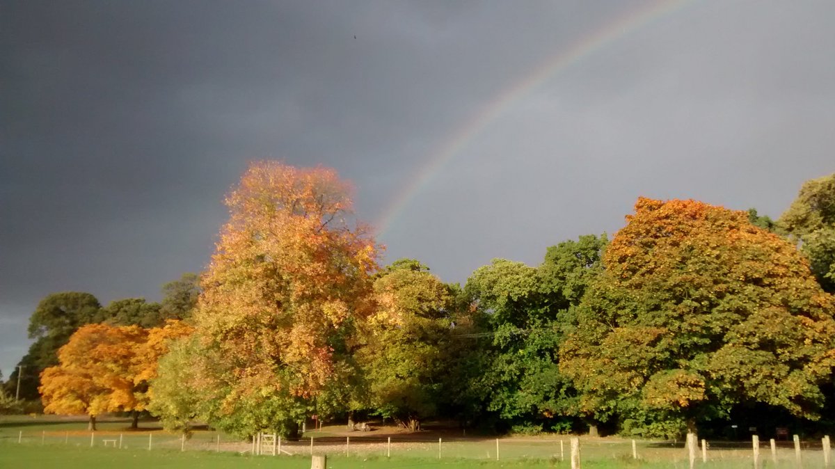MJ_Horticulture's tweet photo. @NTClumberPark looking transcendent, don't you think? https://t.co/j5Lhmk8xRz