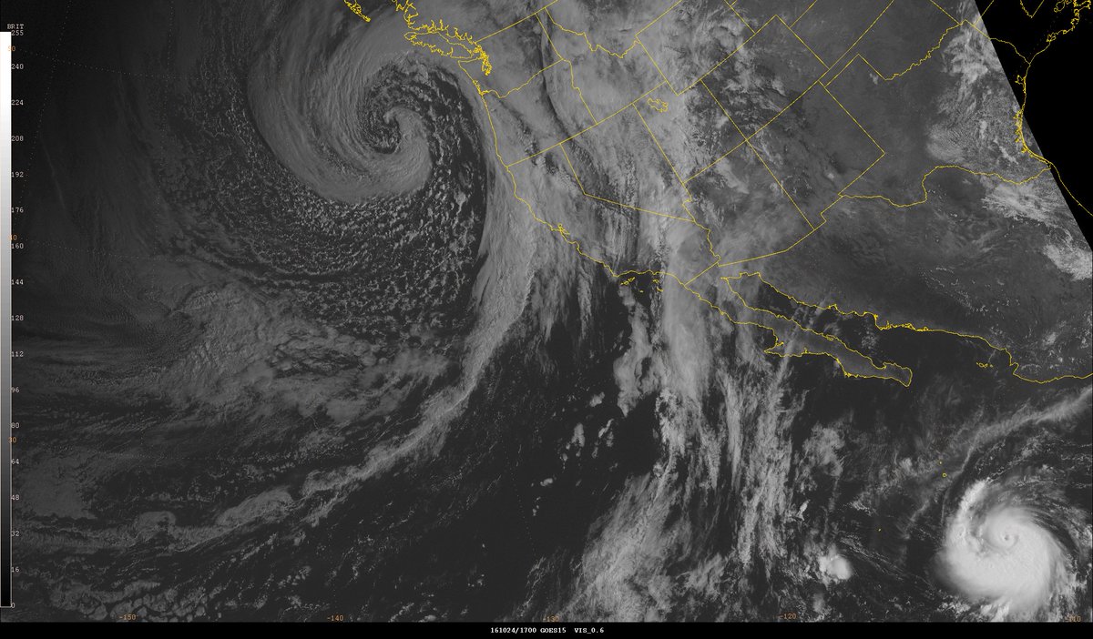 NWSOPC's tweet image. picturesque 969 mb storm force low just off the US West Coast, while #Seymour (far corner of image) has intensified to hurricane strength
