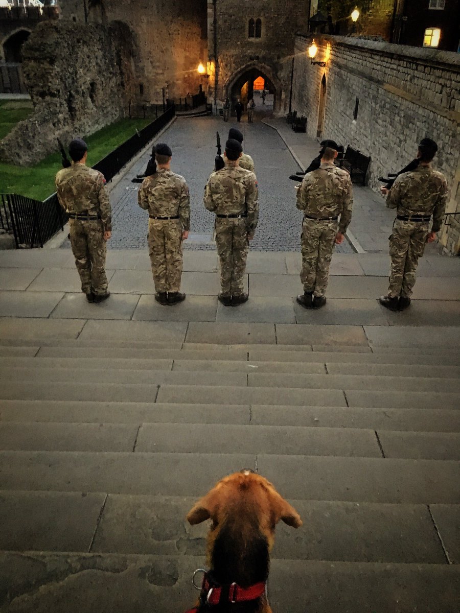 BillC373's tweet photo. An important part of #CeremonialDuties @BritishArmy, #1RHA practice #CeremonyOfTheKeys @TowerOfLondon watched by @FitzTheBeagle #palacephoto https://t.co/mIBfokFH3C