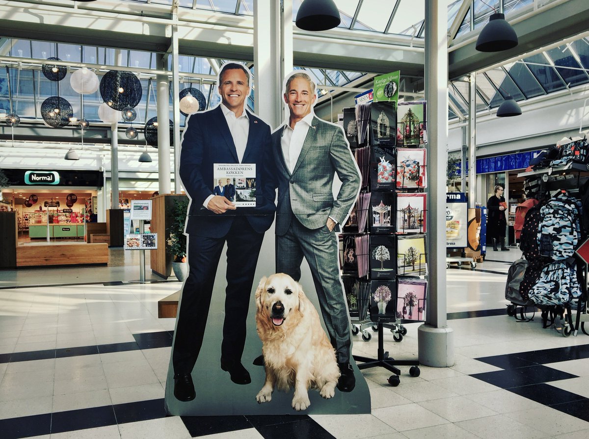 peterhove's tweet photo. Selv DF hunden har fundet en ny familie. 
#Vælgerflugt
#dkpol 
#messershit https://t.co/EW7hJRsvN2
