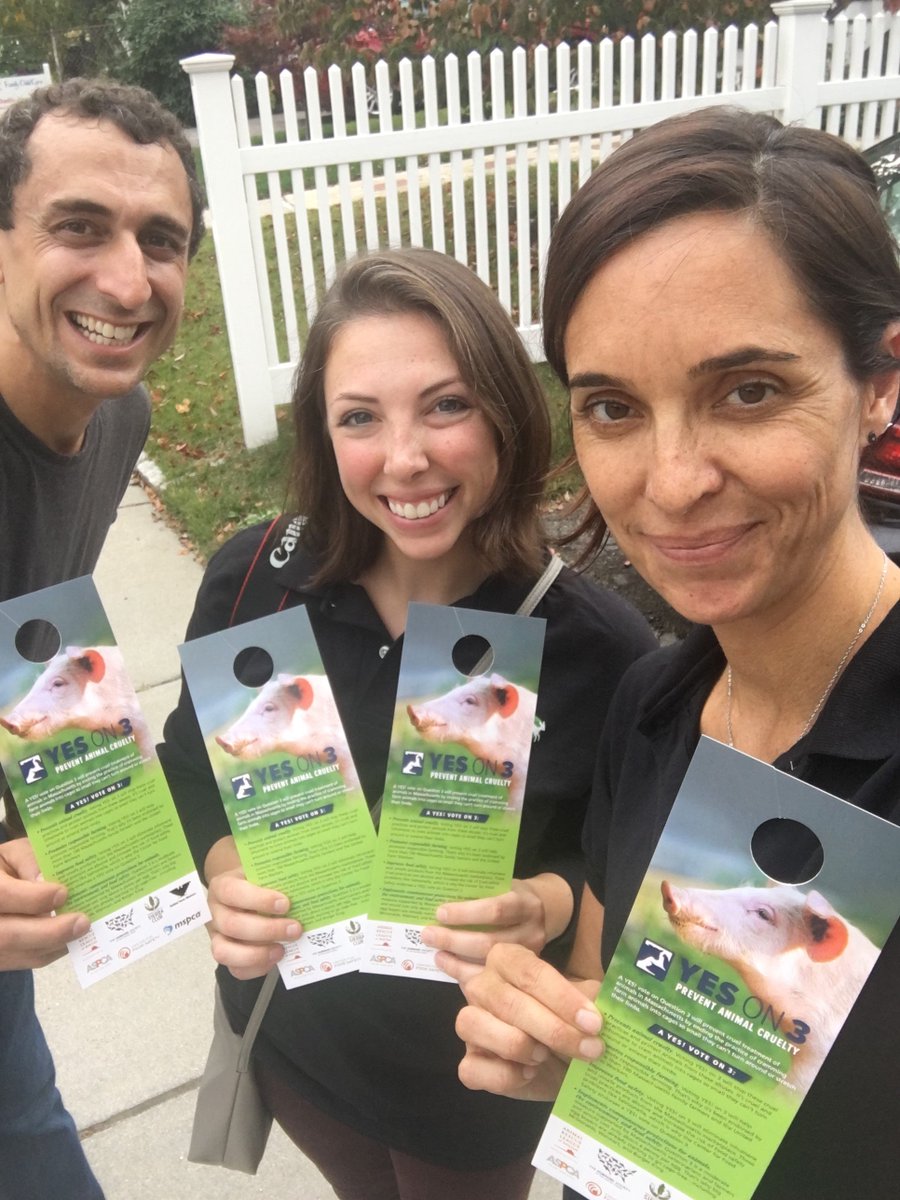 StopCrueltyMA's tweet photo. Thank you, @CIWF_USA for knocking on so many doors for @YesOn3 to prevent animal cruelty! https://t.co/2jYcLAcuMt