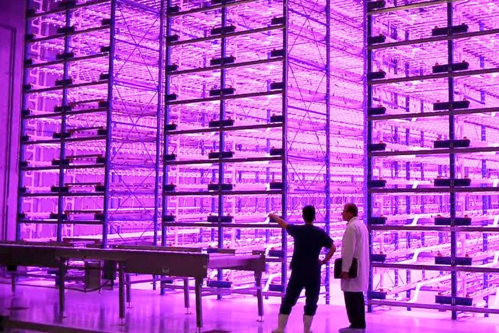 LED_Grow_Lights's tweet photo. This indoor grow needs proper lighting and more. Give your plants what they want and need. Give them AdvancedLED Lights! 1-800-401-6307. https://t.co/ZrcYSAFcIT