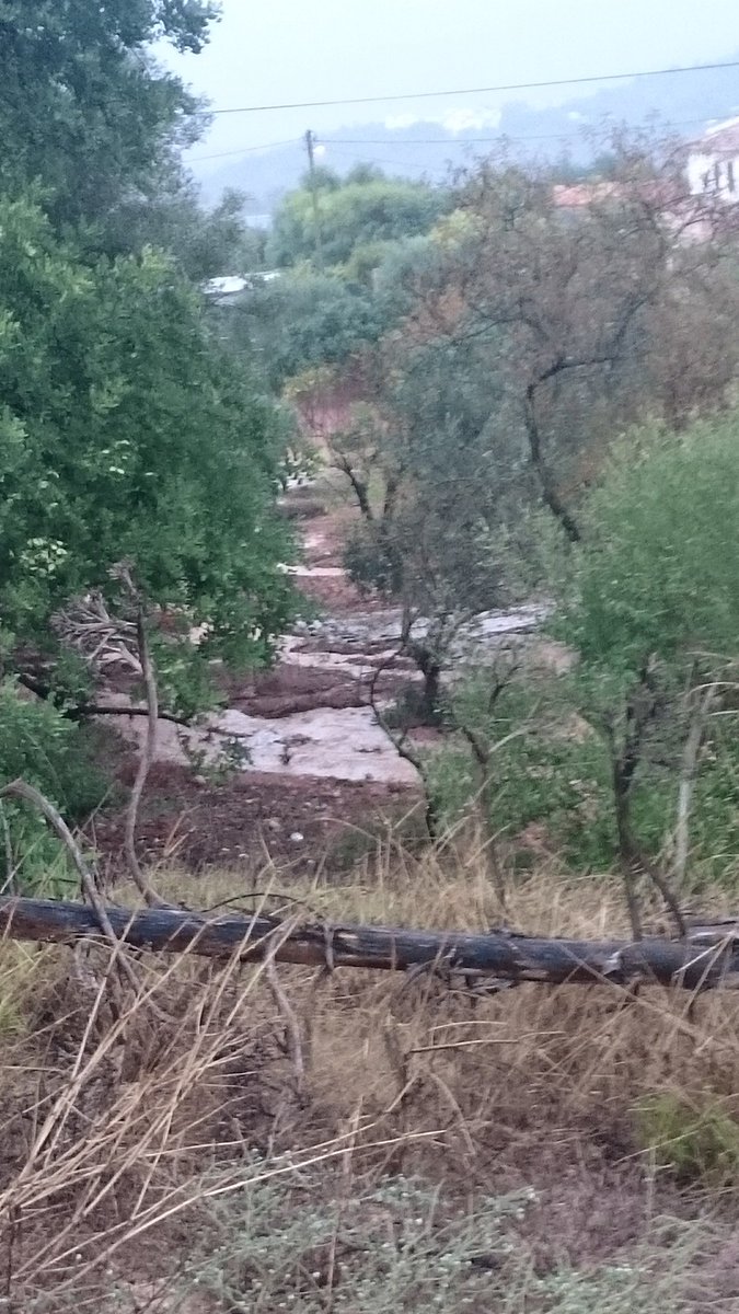 Vasco Cardoso (@vascocardoso4) on Twitter photo 