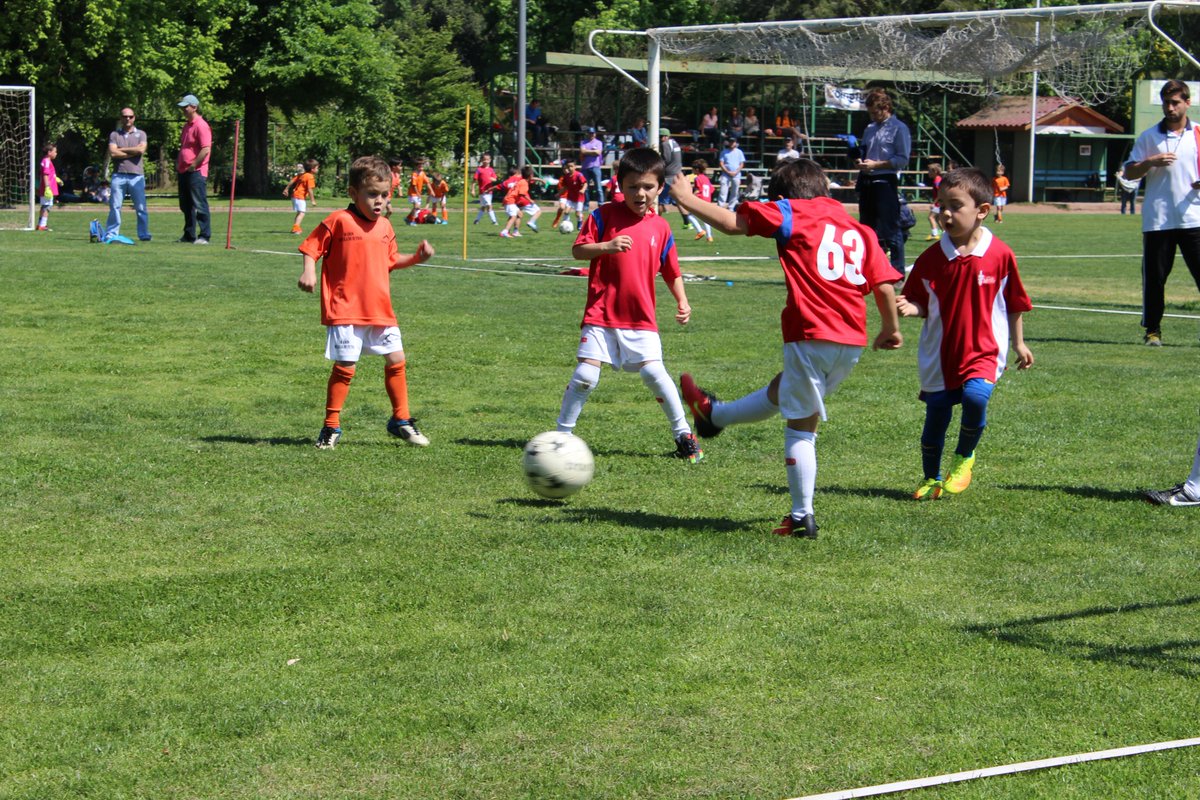 ClubM3dic0's tweet photo. Competencia Interescuelas de Fútbol en Club Médico
https://t.co/OT7O4oSkJS https://t.co/RtuYH8w4ZH