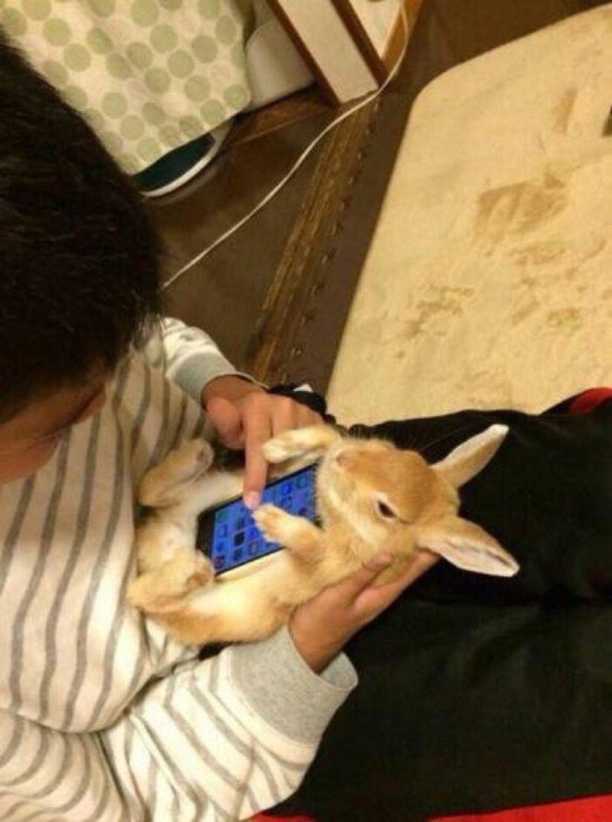 BadAdviceDog's tweet photo. These iPhone cases are getting out of hand https://t.co/Kxk6HN0dmc