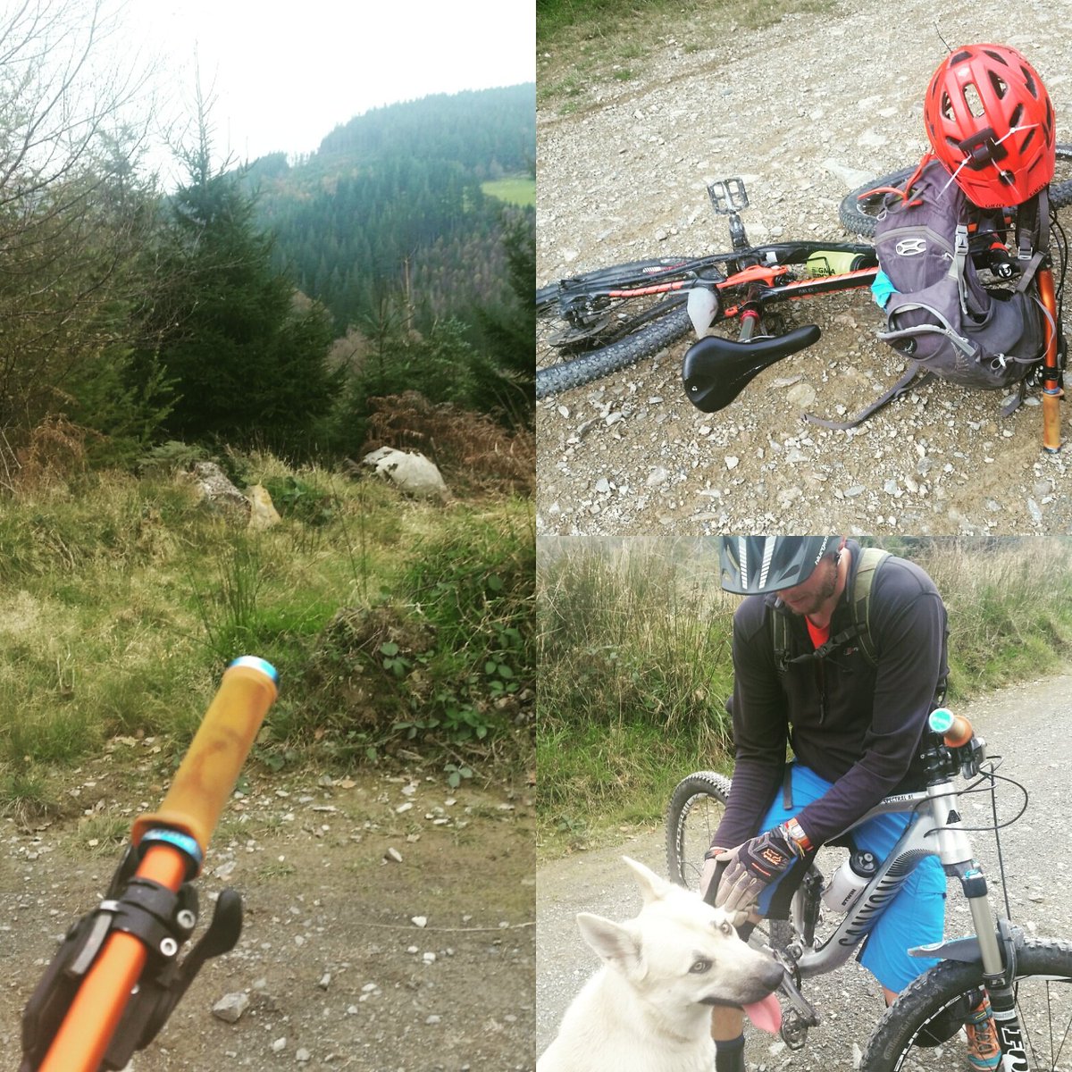 KKtsmif's tweet photo. Great time on the bike today @CoedyBreninFP . #raydays #mtb #GetOutThere #mondaymotivation #OptOutside https://t.co/CL2xpJ9a0l
