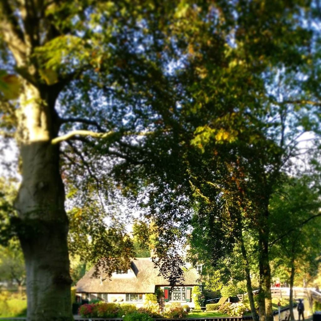 meshorizons's tweet image. Little house in trees #OnePlusLife #oneplustech #oneplus3 #nature #photooftheday #autumnlo… ift.tt/2eoBk5H