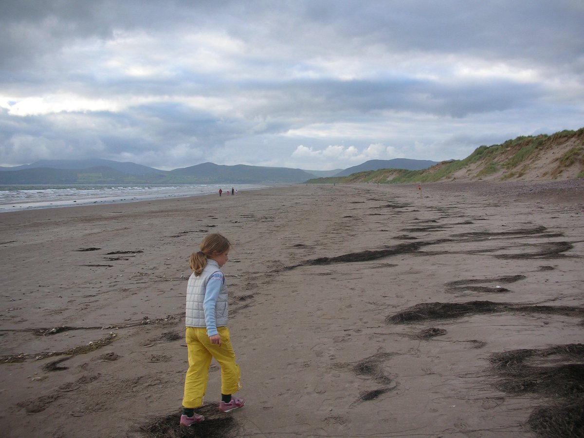 RossbeighBeach's tweet photo. Views of Rossbeigh Beach and environs as seen from dunes https://t.co/vozMzeSCPk