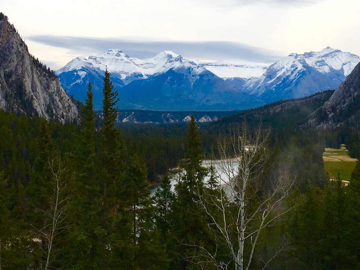 briansolis's tweet image. Just above Bow Falls. Look at this view!  #banff #canada