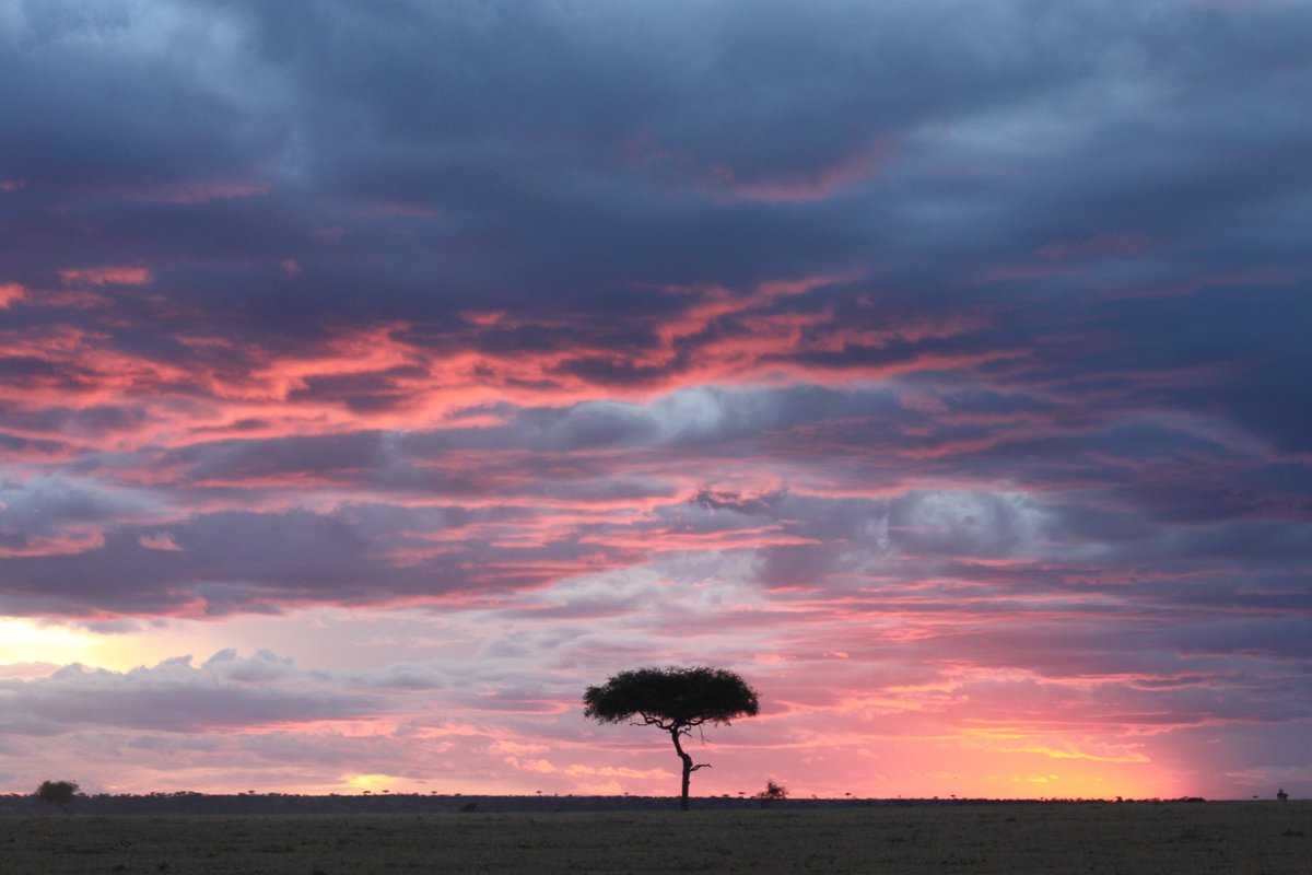 Walking The Earth tweet media