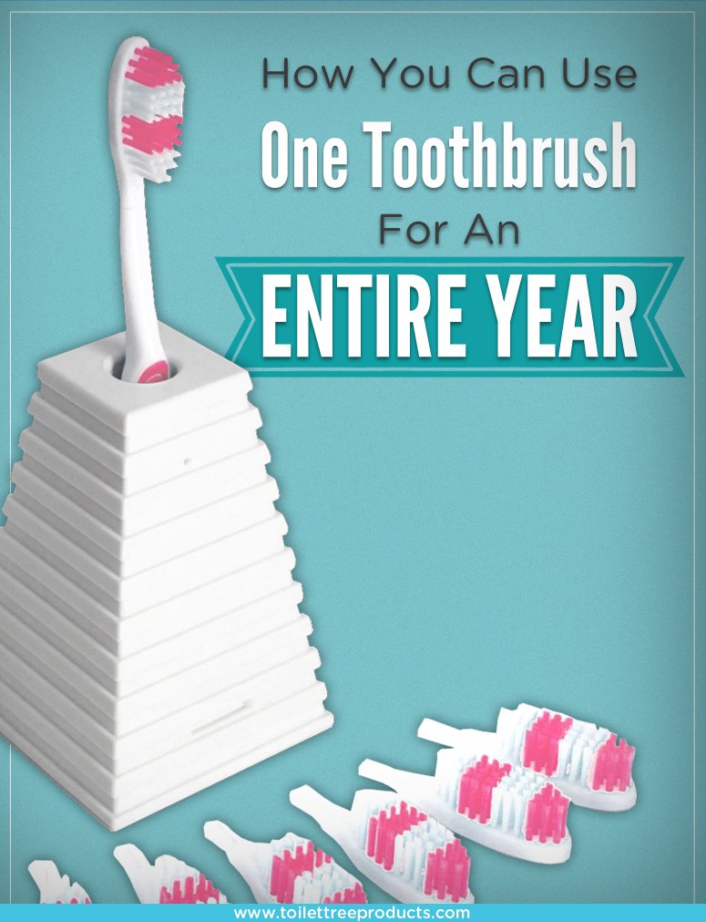 ToiletTreeProd's tweet photo. There's now a simple way to remind you when it's time to change your #toothbrush. Meet 13 Clean: https://t.co/OAx2AipuT5 #13clean #teeth https://t.co/qsXvQVtqGg
