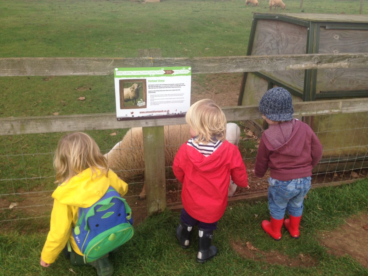 Cotswold Farm Park (CotswoldFarmPrk) Twitter