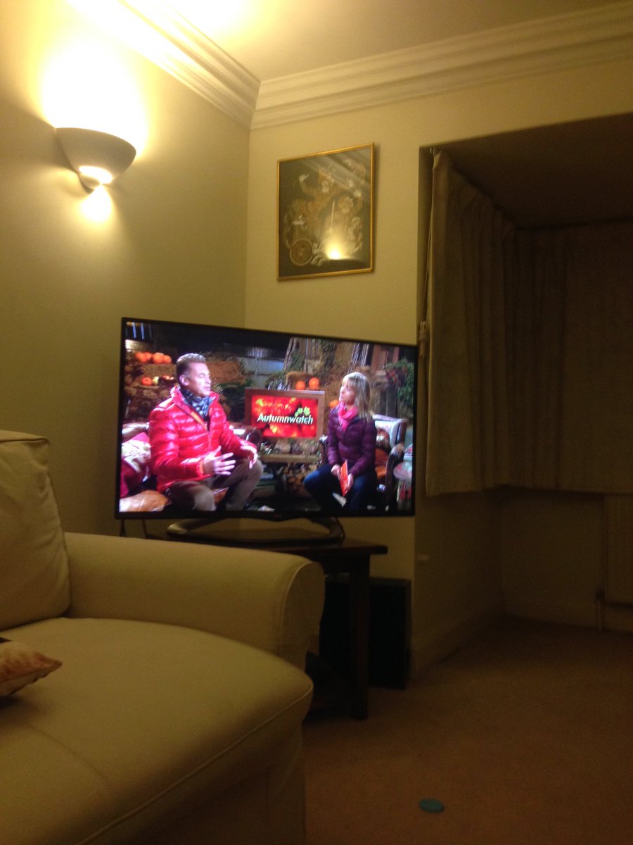 bugs_den's tweet photo. What is this turd, I want to watch UC #ruinedmymonday @UniversityChal #monkman https://t.co/lUvzIh7vZe