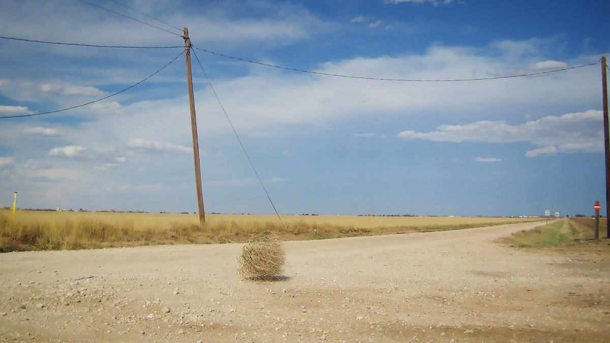 Unforgiven VR on Twitter: "You know what? The classic Old West tumbleweed is really a bit more Eastern... from Russia! https://t.co/tbnIi6HH8z… "