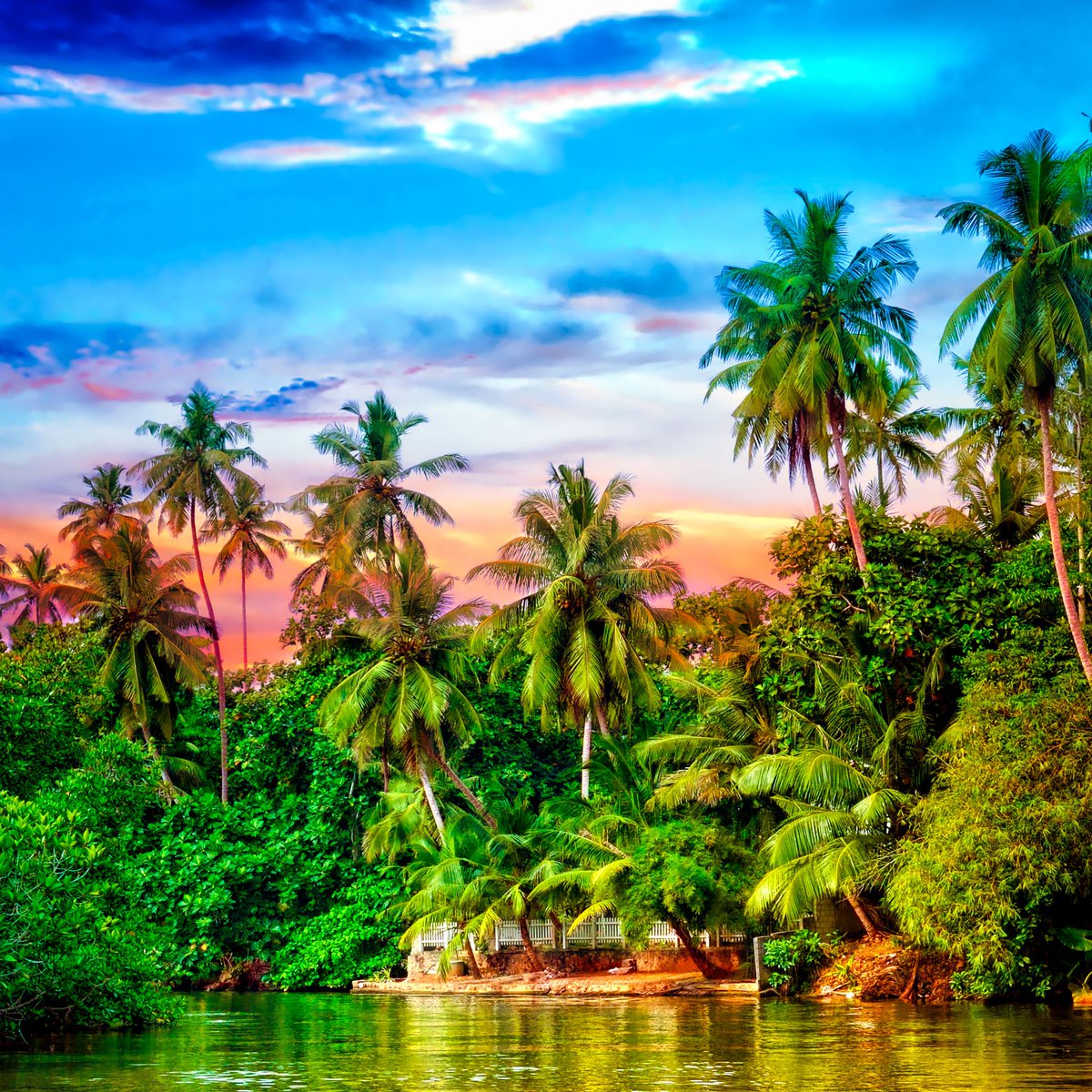 Naturespace tweet media