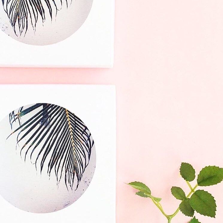 KatJrmn's tweet photo. Regram from the creative genius @maritzalisa who used my circle shape shadow boxes to make this dreamy wall art. Th… https://t.co/Jef1K3y3pX