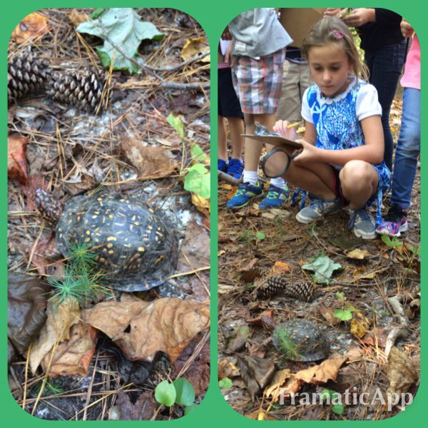 lauraacoffey1's tweet photo. @RavenscroftNC @ravenscroft_ls @JCrawford2011 2nd graders exploring our outdoor learning center while doing a Fall Scavenger Hunt #utotes https://t.co/buNSH4T59d