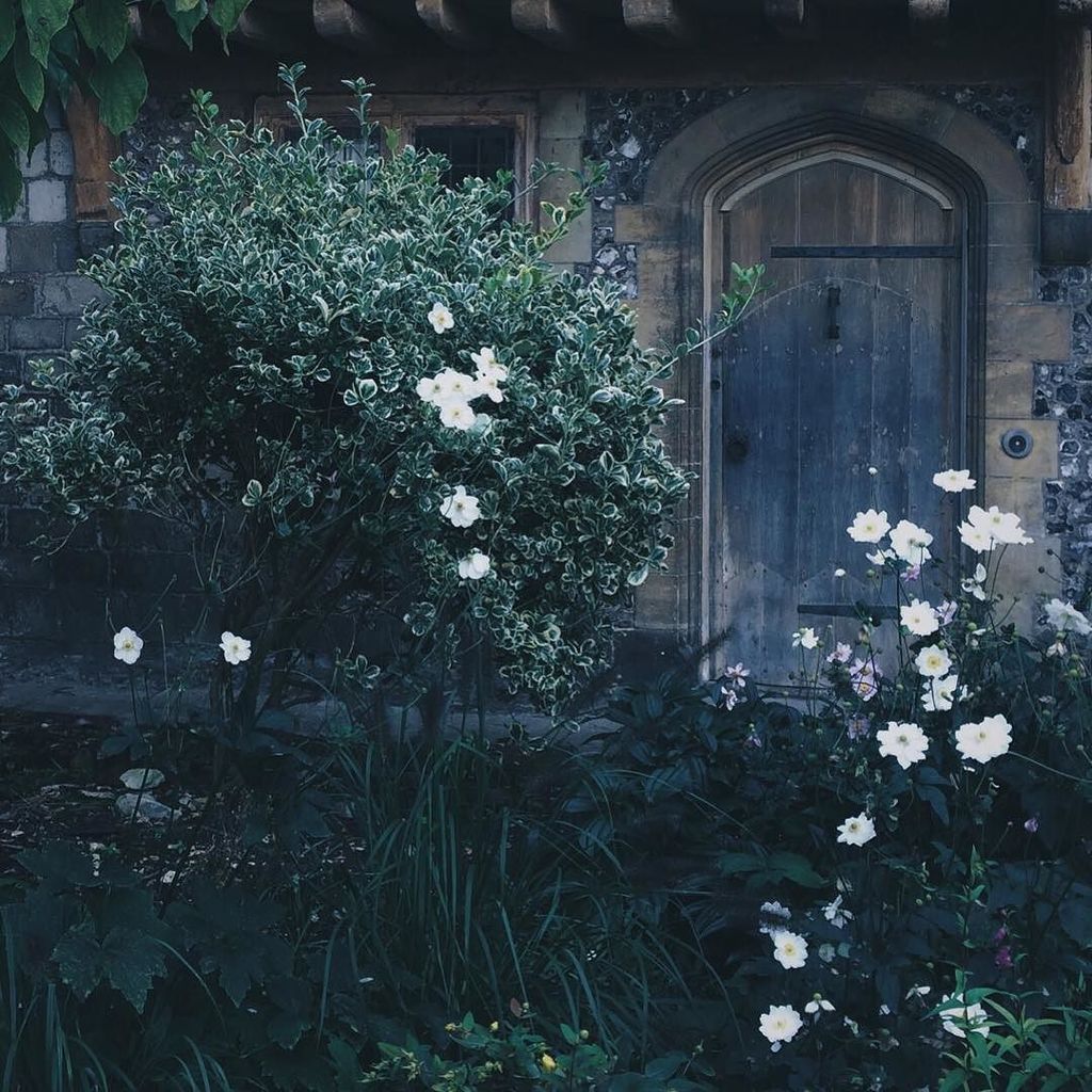 himistermagpie's tweet image. Dream houses on my mind 💕 #alittlebeautyeveryday #bitsofbuildings #flashesofdelight ift.tt/2eoxR4n