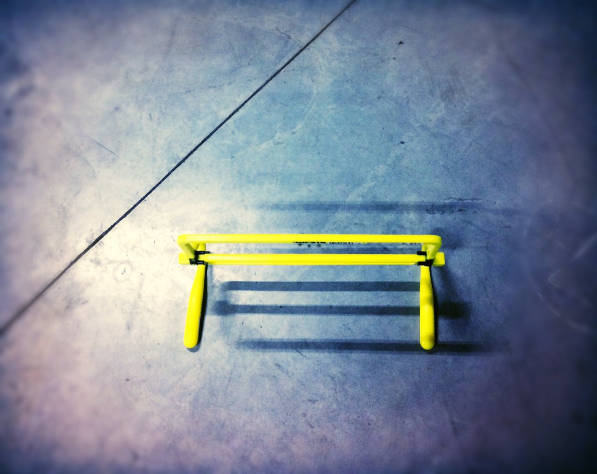 To jump or not to jump FIT 🐱#functionalfit #fitforlife #lavieactive #workoutmonday