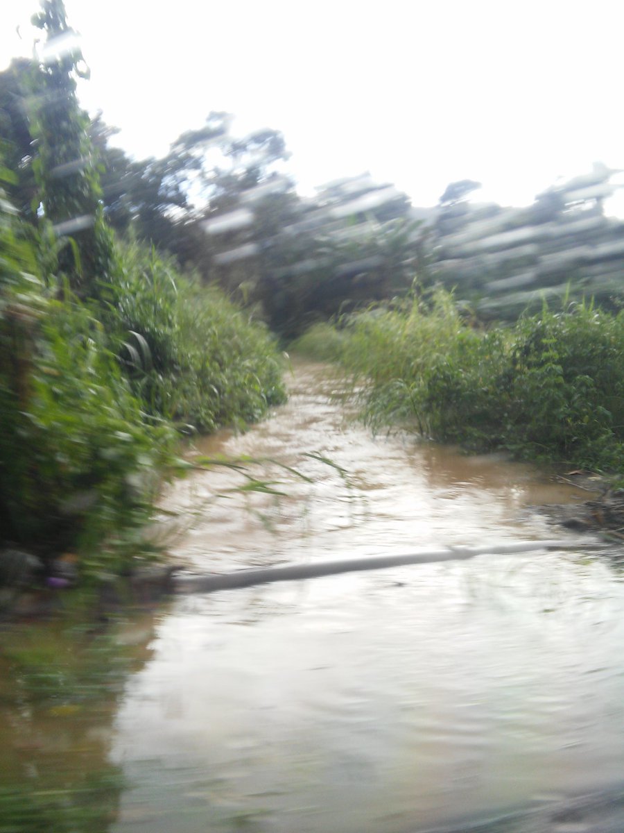 Tata312004's tweet image. @adamonzon monte grande cabo rojo