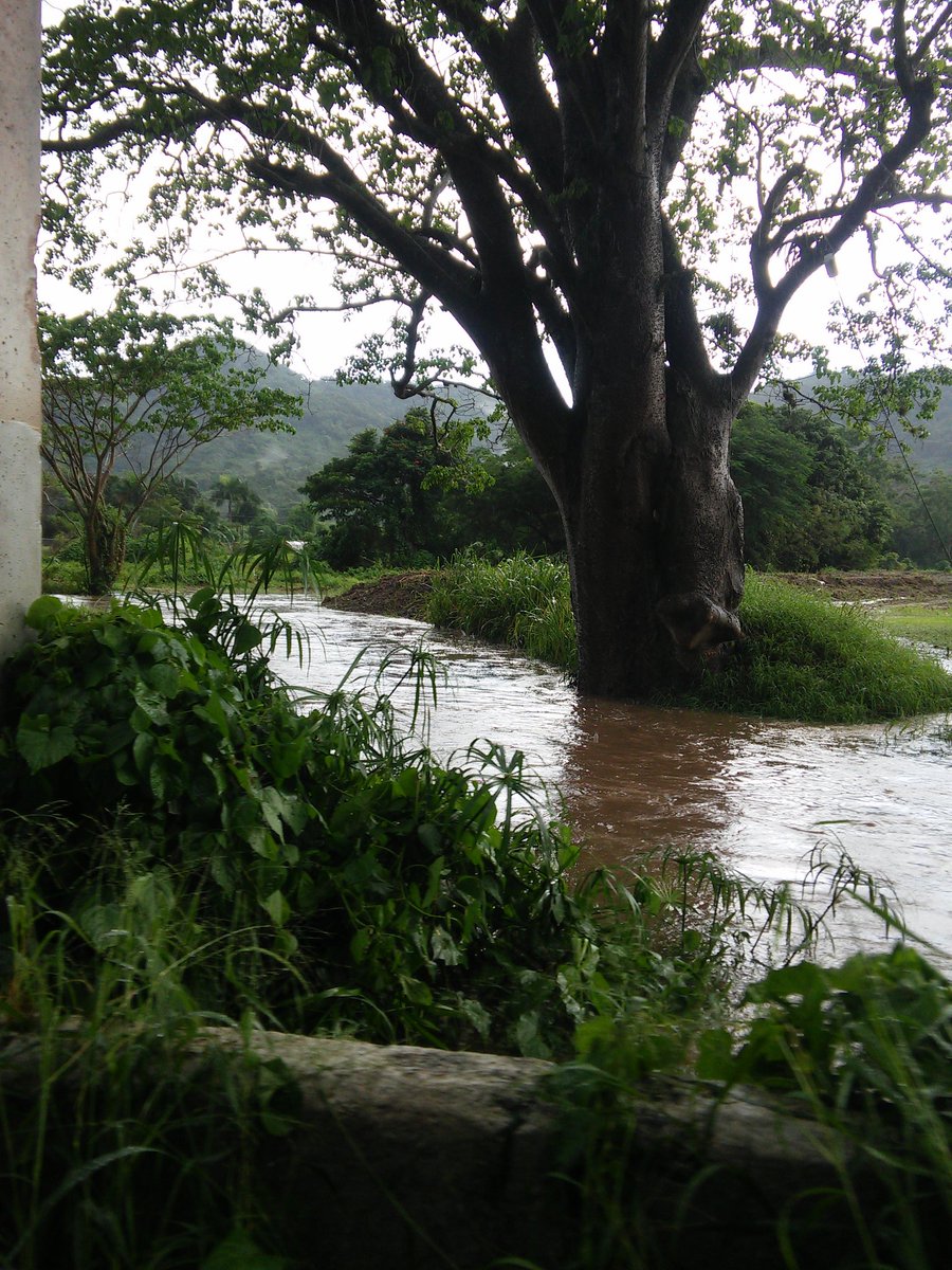 Tata312004's tweet image. @adamonzon monte grande cabo rojo