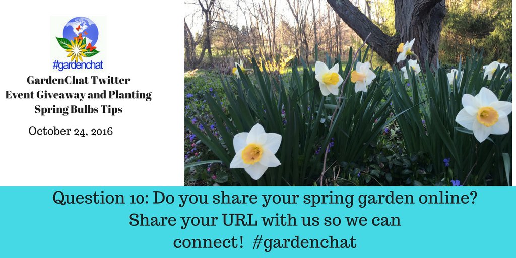 Question 10: Do you share your spring garden online? Share your URL with us so we can connect! #gardenchat https://t.co/XH4ttWxpQM
