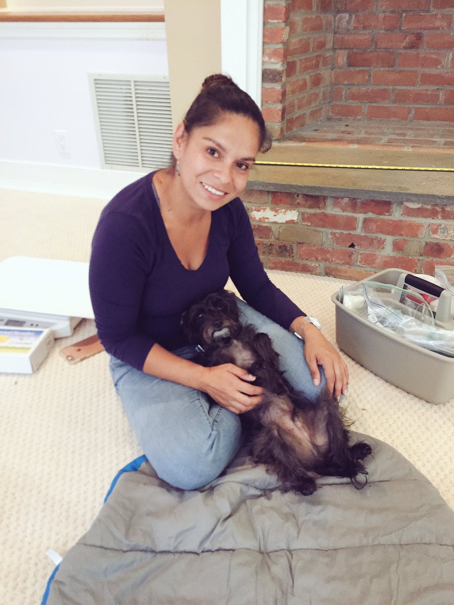 Bespokevetservice tweet media