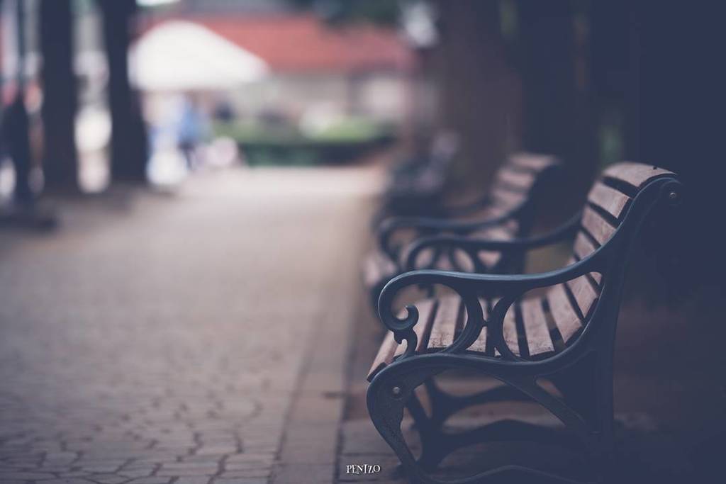 PENIZO_Photo's tweet photo. γγ―γγγγγγΎγπ δ»ζ₯γγγ³γγ§ι εΌ΅γγΎγγγγ½(^0^)οΎ #γγ³γ #γγ³γοΏ½οΏ½γγͺδΊΊγ¨ηΉγγγγ #bench #ε
¬ε #park #benchphotography #β¦ https://t.co/F2Kj3NQDLP https://t.co/CaUFZeno5m